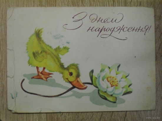 ПОДПИСАННАЯ ОТКРЫТКА СССР. УКРАИНА. "С ДНЕМ РОЖДЕНИЯ!" ХУД. К. Б. ПОЛЯКОВА. 1967 ГОД.