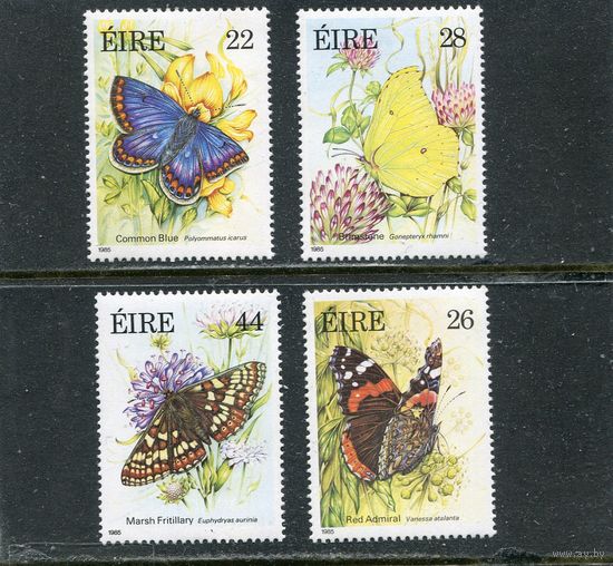 Ирландия. Фауна. Бабочки