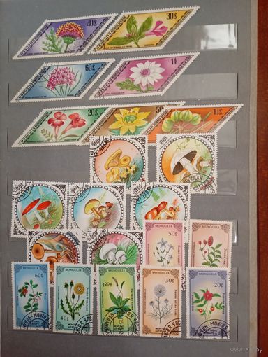 Флора сборный Монголия 3 серии