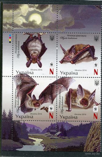 Украина 2016. Фауна. Летучая мышь. Квартблок