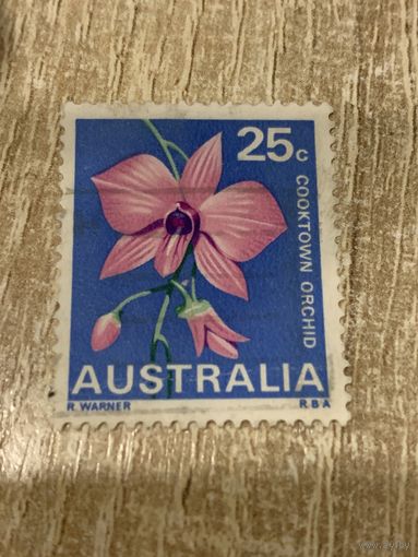 Австралия. Цветы. Cooktown orchid. Марка из серии