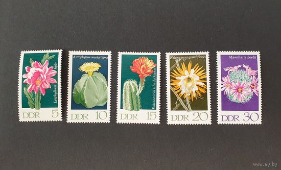 Кактусы Флора ГДР Германия 1970 Mi 1625-1628 1630