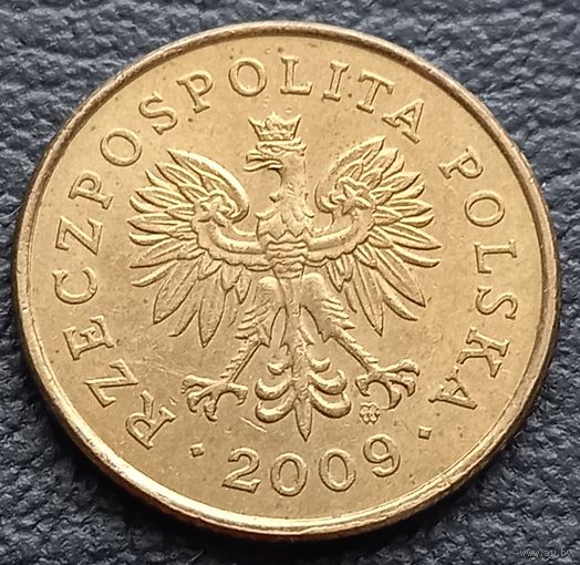 5 грошей 2009