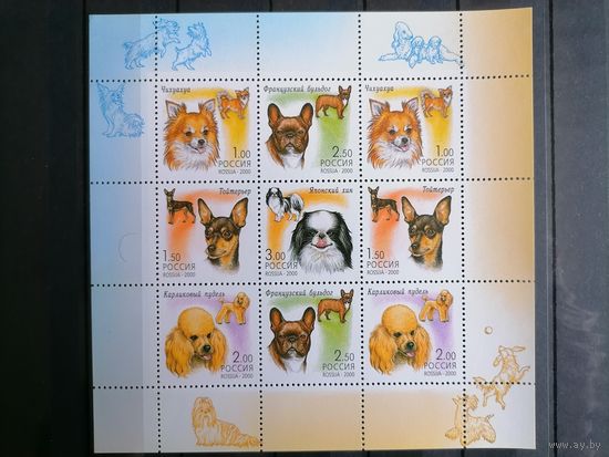 Россия, 2000, Фауна. Декоративные породы собак. М/лист **MNH