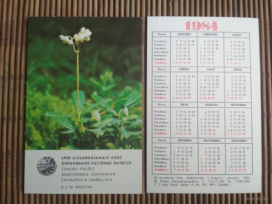Карманный календарик.1984 год. Охраняемое растения ЛатвССР