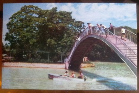1970 год Ташкент Комсомольское озеро