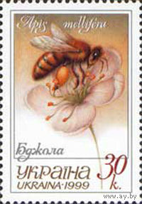 Пчела Украина 1999 год серия из 1 марки