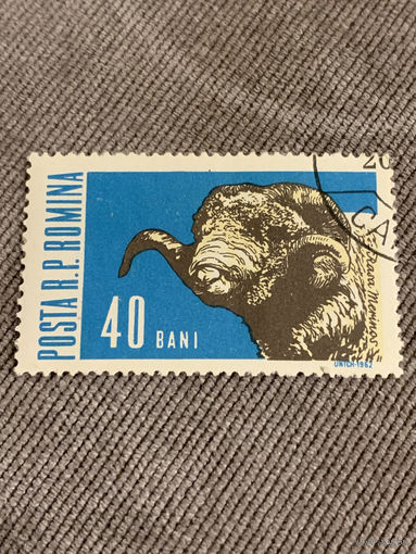 Румыния 1962. Буйвол. Марка из серии