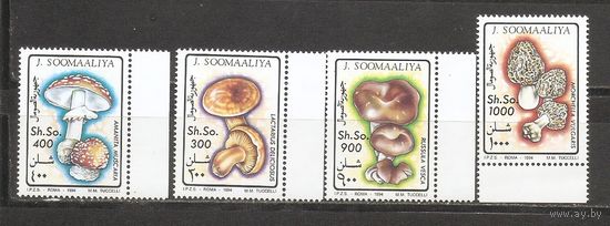 Сомали 1994 Флора Грибы
