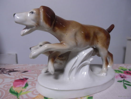 ГОНЧИЕ СОБАКИ.ГЕРМАНИЯ.