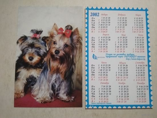 Карманный календарик . Щенки йоркширского терьера. Белпочта. 2002 год