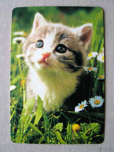 К01 Календарик Котенкок 1998
