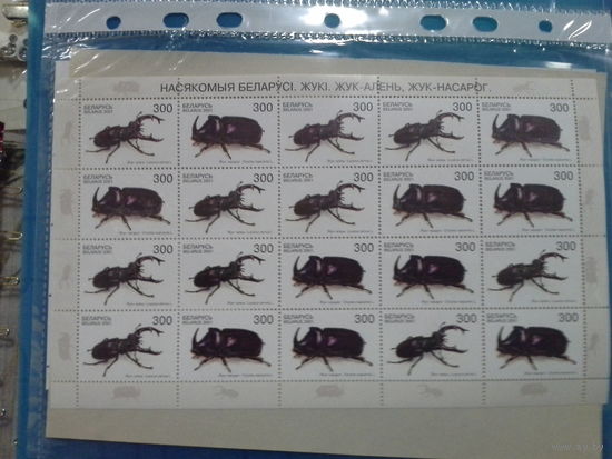 Беларусь 2001 жуки лист