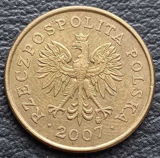 5 грошей 2007