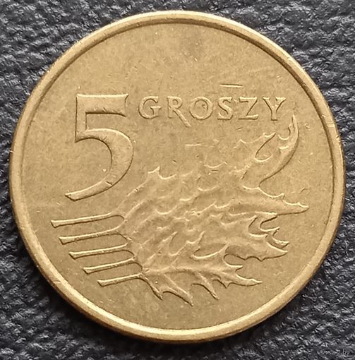 5 грошей 2007
