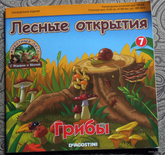 Лесные открытия. Грибы.
