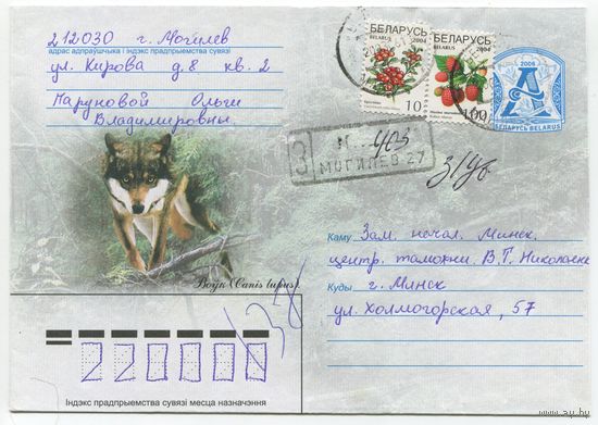 2006. Конверт, прошедший почту "Волк"