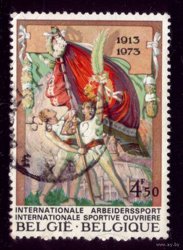 1 марка 1973 год Бельгия 1726
