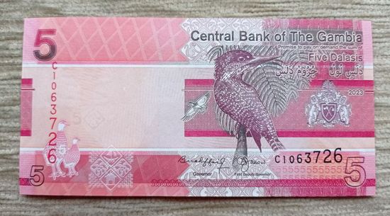 Werty71 Гамбия 5 даласи 2023 UNC банкнота