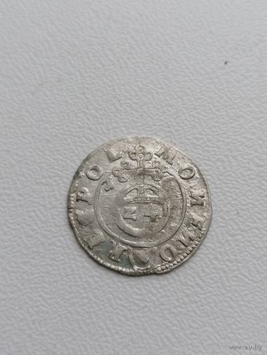 Полторак 1616 красивый