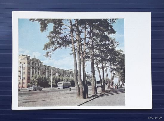 СССР 1965 ДМПК фото Панова. Минск. Ленинский проспект. Чистая.
