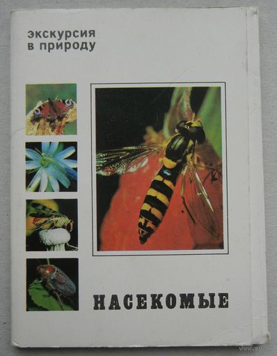 Открытки СССР.Набор 25 шт. Насекомые.