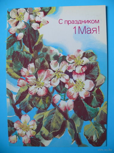Морозов М., С праздником 1 Мая! 1987, чистая.
