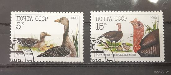 СССР. 1990 год. Фауна. Птицы