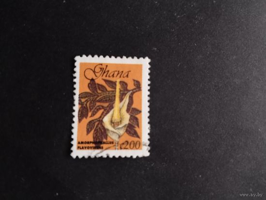 Гана 1991