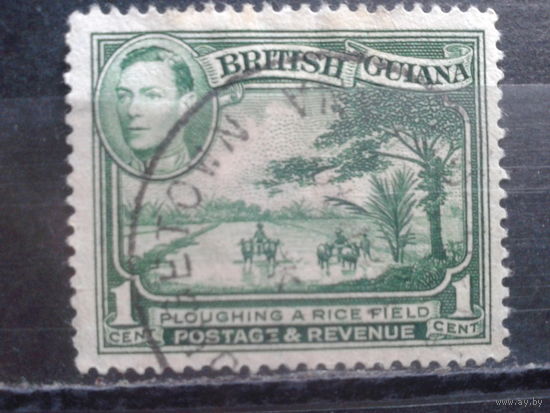 Гайана, колония Англии, 1938. Стандарт, Георг VI, обработка рисового поля. Mi -2,8 евро гаш. К 14:13