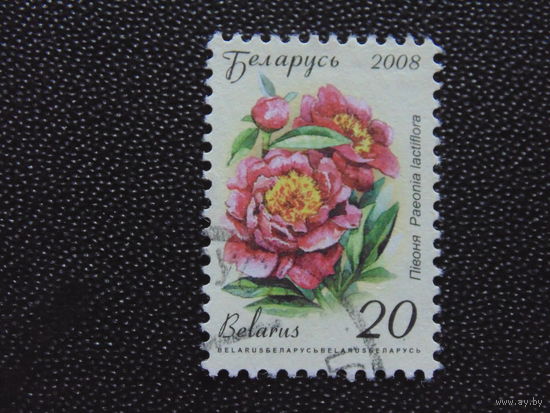 Беларусь 2008 г.
