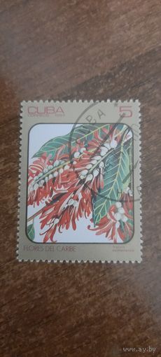 Куба 1984. Флора Кариб. Марка из серии