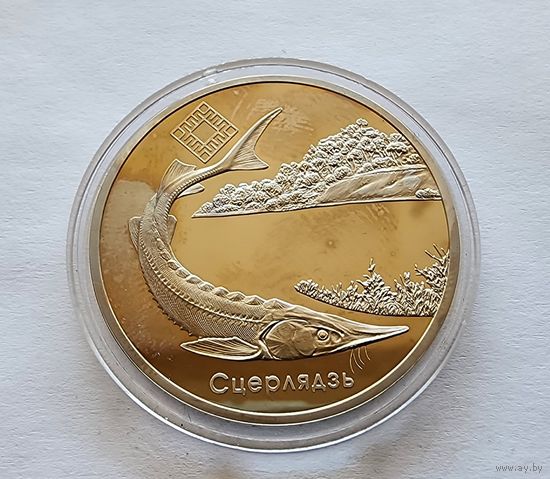 Беларусь 1 рубль, 2007 Заказник  Днепро-Сожский.Стерлядь