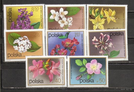 ФФ1 Польша 1972 Цветы