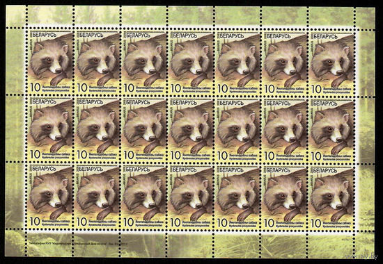 Беларусь. 2008. Стандарт. Енотовидная собака (10р) (з.91-2011) Лист