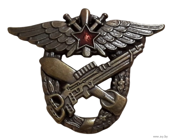 Копия Знак для окончивших Военную школу морских летчиков