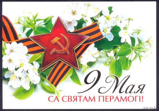 Беларусь 2016 9 мая !  лента звезда цветы