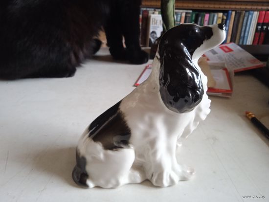 Собака  лфз