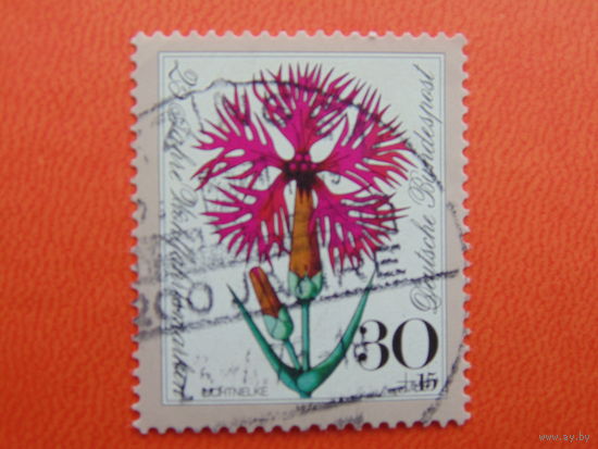 Германия 1975г. Флора.