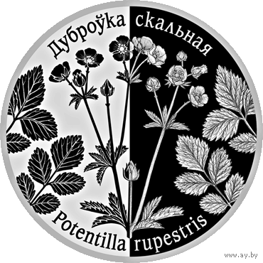 Лапчатка скальная Дуброўка скальная Дубровка 20 рублей 2017 год Тираж 1000 шт