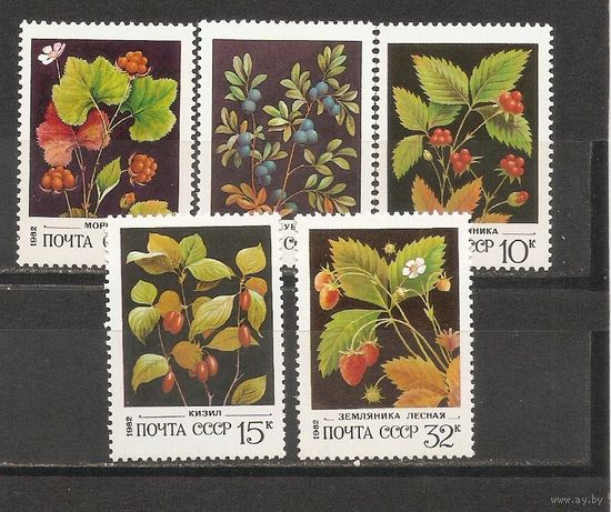 ФФ1 СССР 1982 Лесные ягоды