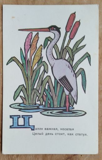 Сенновский Б. Цапля. 1969 г. Чистая