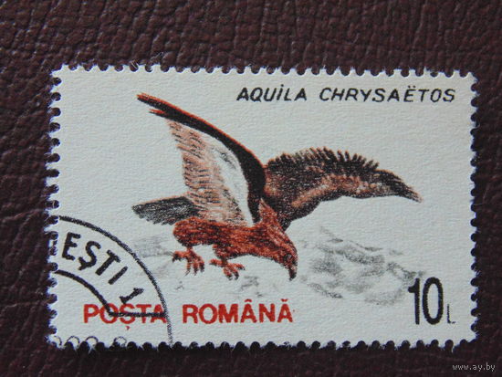 Румыния 1993 г. Птицы.