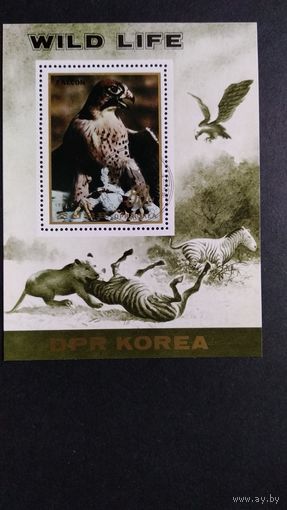 Фауна \120фа\ КНДР Корея 1984 Сокол , птицы , блок