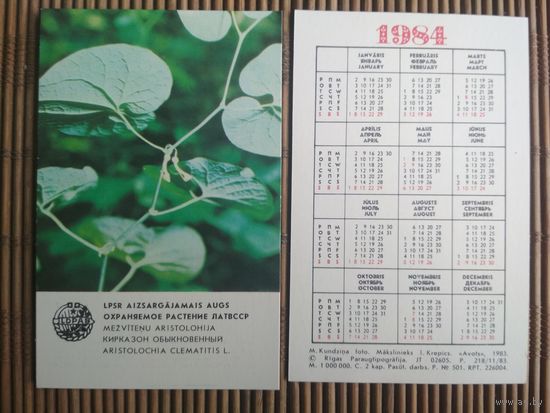 Карманный календарик.1984 год. Охраняемое растения ЛатвССР
