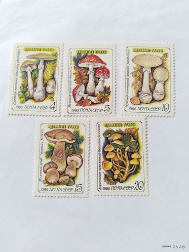 СССР  1986 5 м грибы