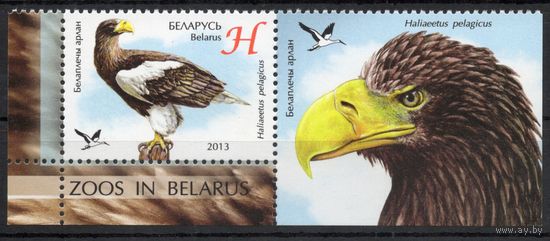 Беларусь 2013. Фауна. Птица Белоплечий орлан. 1 марка+купон 966 (662)