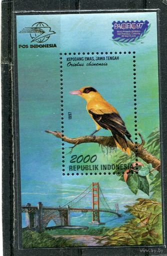 Индонезия. Птицы. Китайская черноголовая иволга. Блок филвыставки