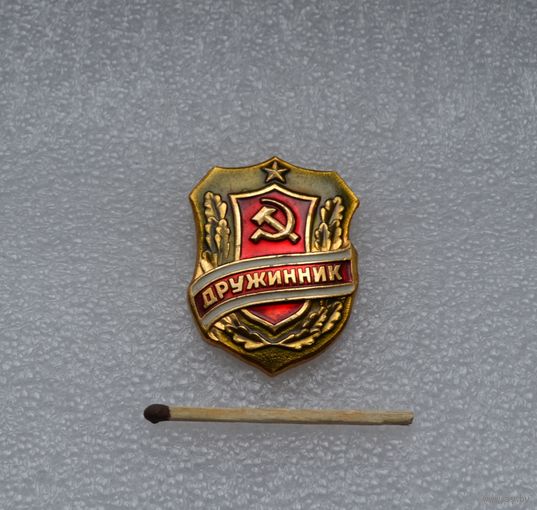 Дружинник.