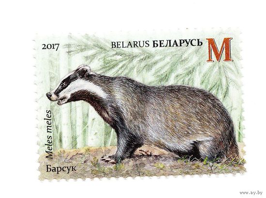 Марка Барсук